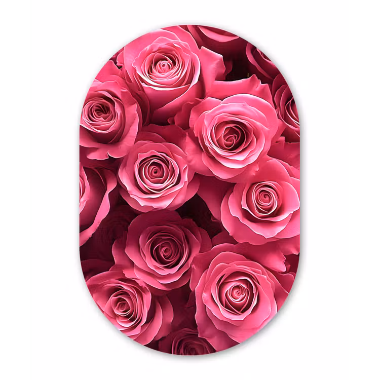 Rozen - Pink - Bloem Wandcirkel Ovaal Glas middel -3d