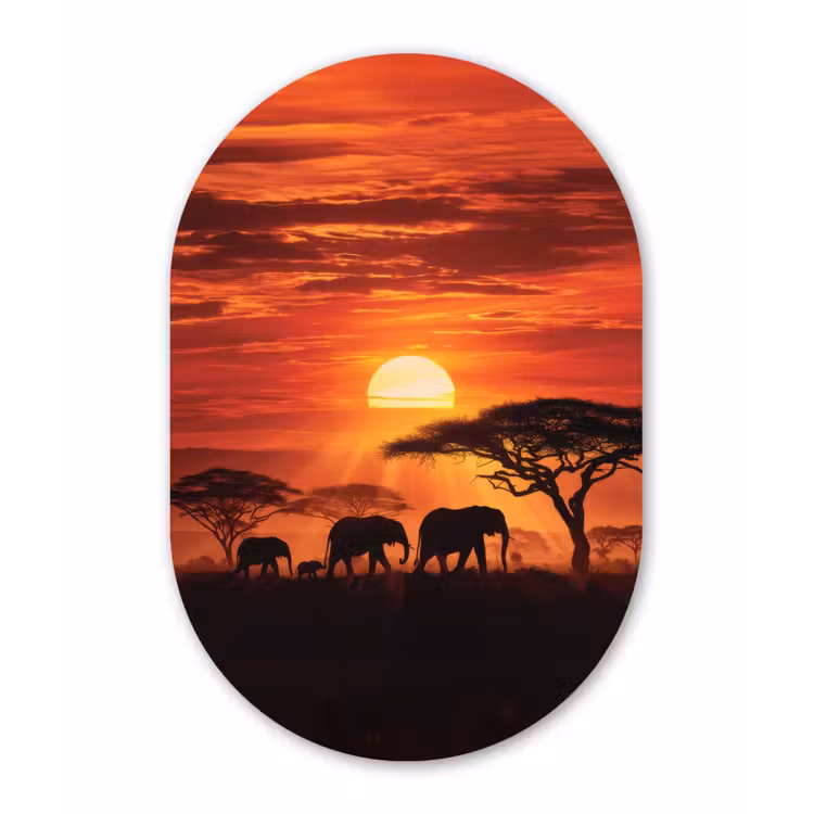 Savanne - Olifanten - Zonsondergang Wandcirkel Ovaal Glas middel -3d