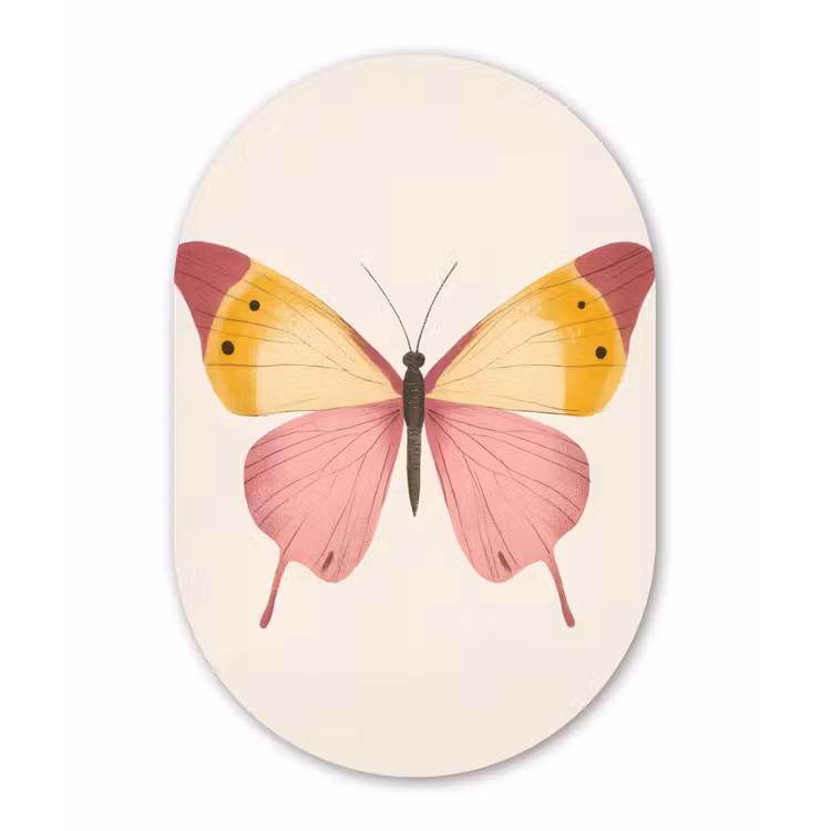 Vlinder - Illustratie - Roze Wandcirkel Ovaal Glas middel -3d
