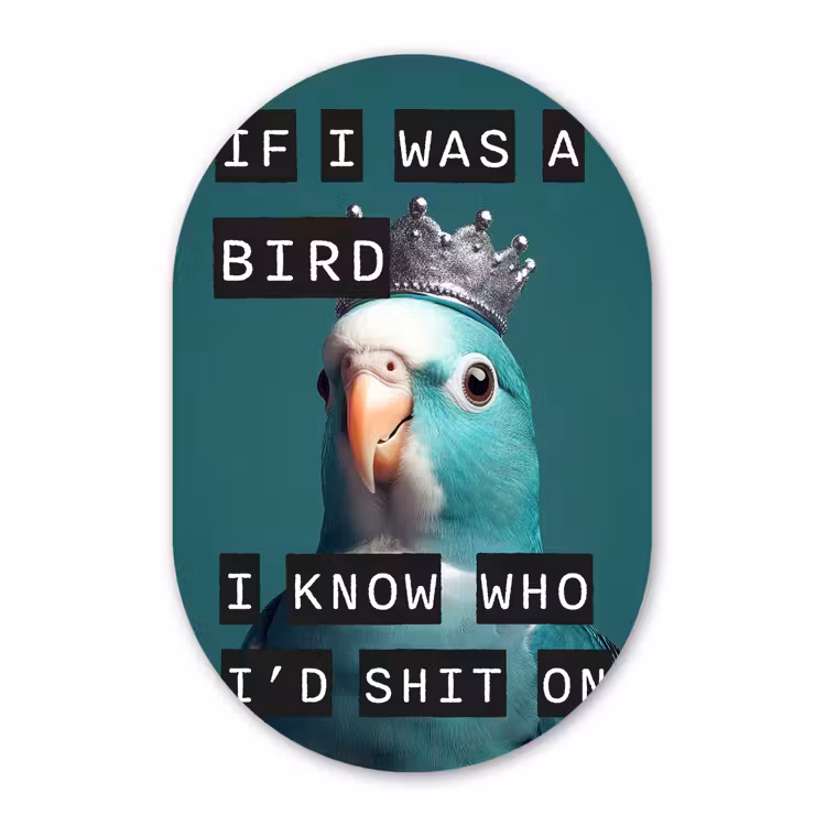 Parkiet - Turquoise - Quotes - Decoratie Wandcirkel Ovaal Glas middel -3d