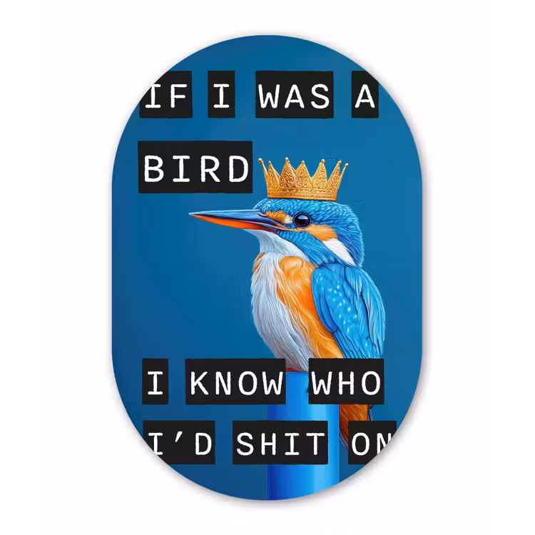 Vogel - Decoratie - Ijsvogel - Blauw Wandcirkel Ovaal Glas middel -3d