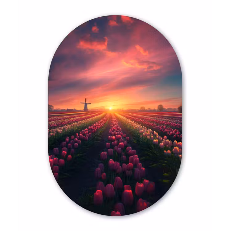 Windmolen - Zonsondergang - Landschap Wandcirkel Ovaal Glas middel -3d