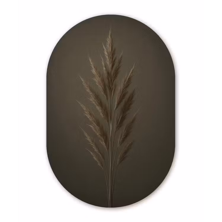 Tak - Pluimgras - Donkerbruin Wandcirkel Ovaal Glas middel -3d