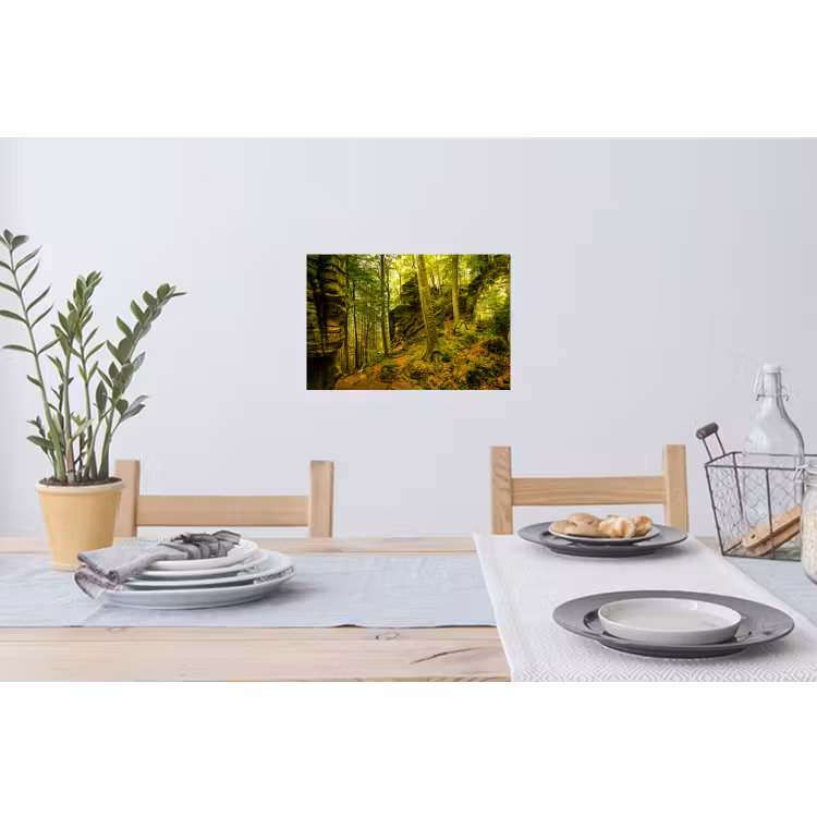 Bomen - Steen - Bos - Natuur Muursticker klein -eettafel