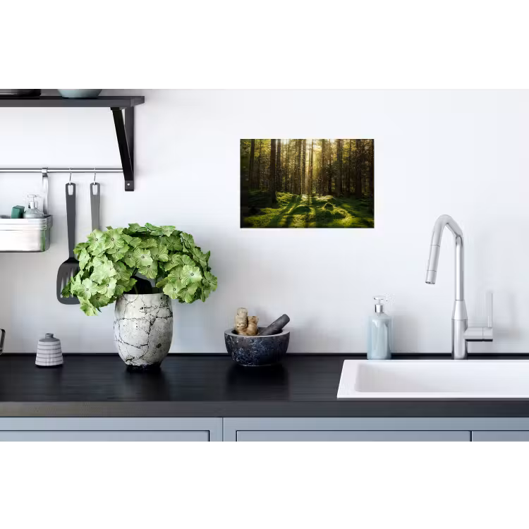 Bomen - Bos - Mos - Planten - Zon Muursticker klein -keuken