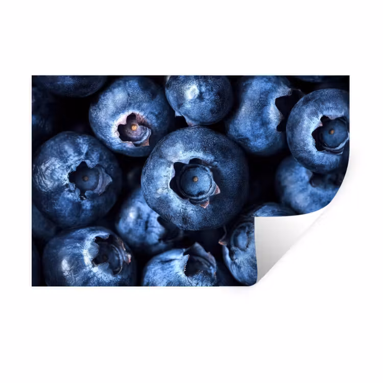 Bessen - Blauw - Fruit Muursticker klein -3d