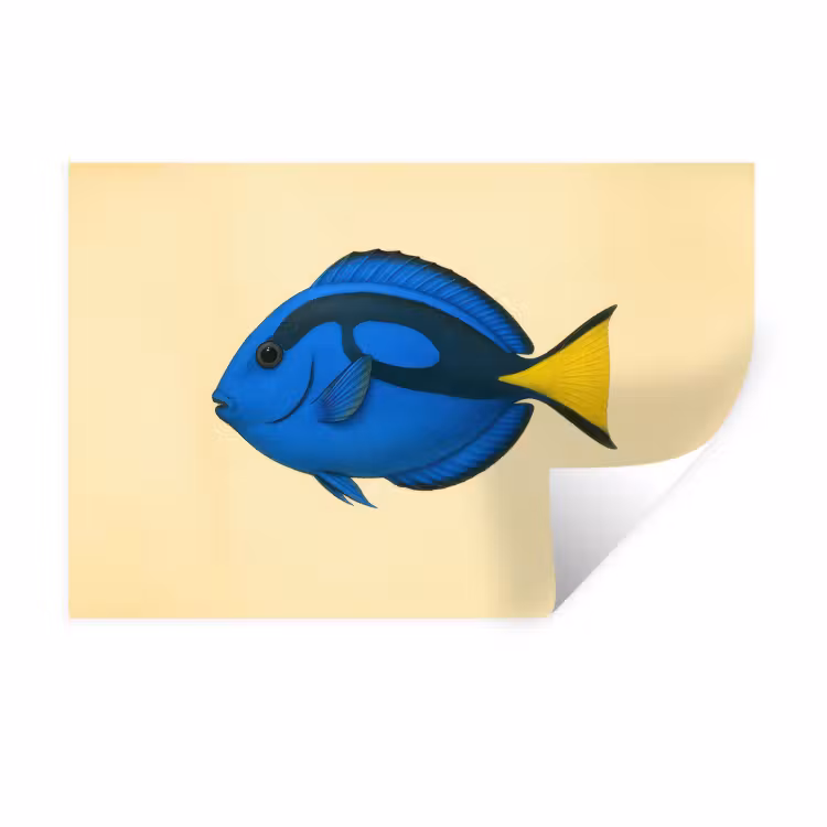 Blauw - Dory - Vis - Staartvin Muursticker klein -3d