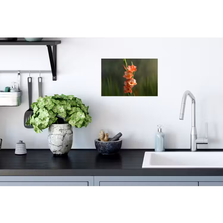 Bloem - Gladiolen - Zalmroze Muursticker klein -keuken