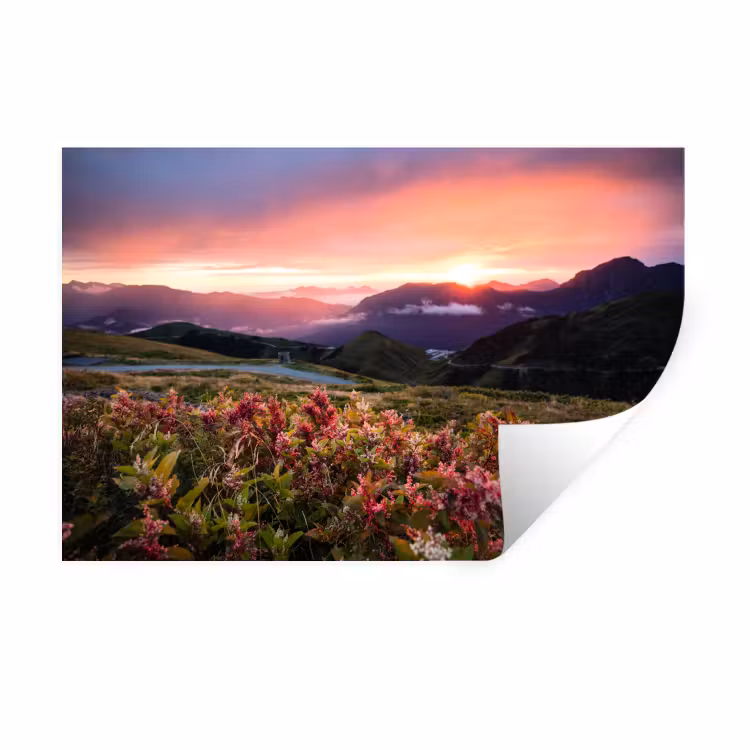 Bloemen - Bergen - Landschap - Nacht - Lucht - Roze Muursticker klein -3d