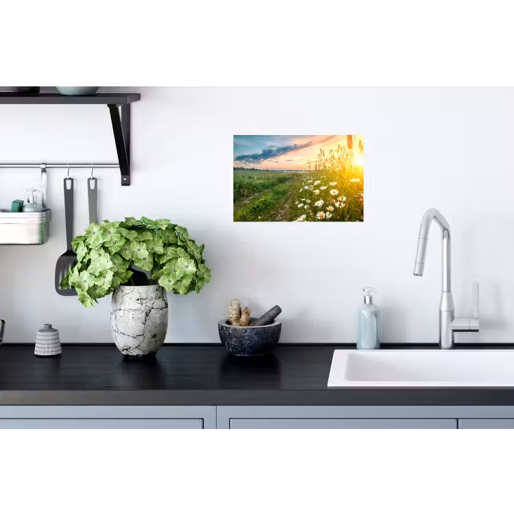Bloemen - Madelief - Natuur Muursticker klein -keuken
