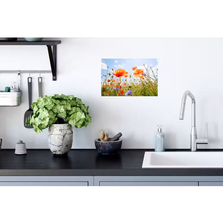 Bloemen - Klaproos - Lente - Natuur - Rood - Blauw Muursticker klein -keuken
