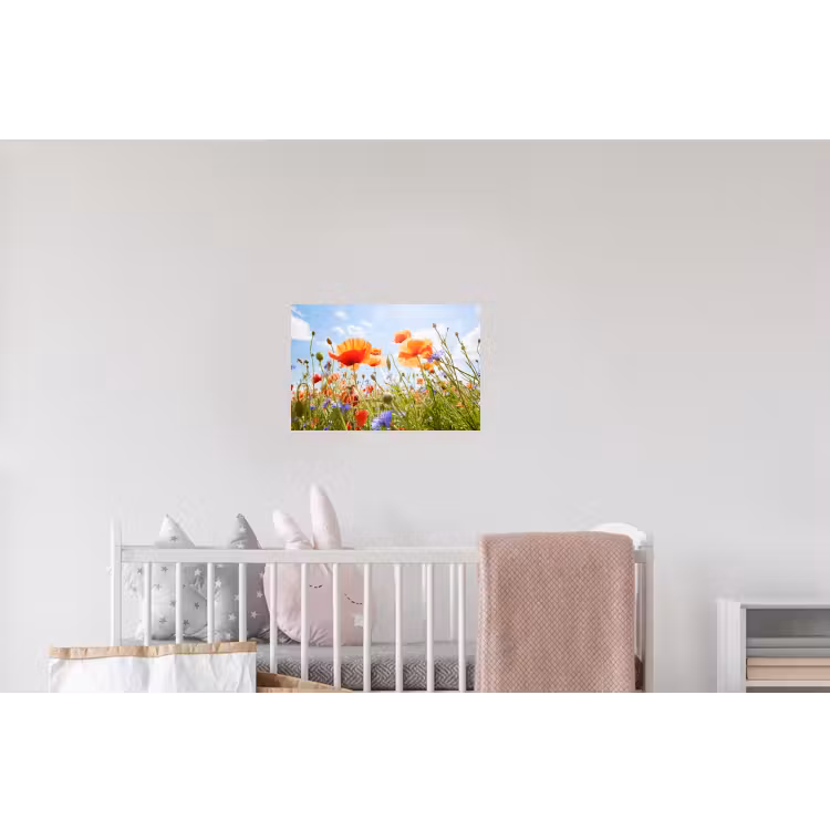 Bloemen - Klaproos - Lente - Natuur - Rood - Blauw Muursticker klein -kinderkamer