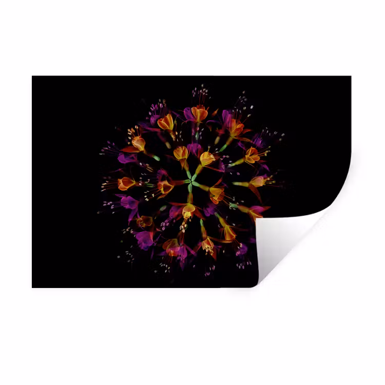Bloemen - Oranje - Roze - Zwart Muursticker klein -3d