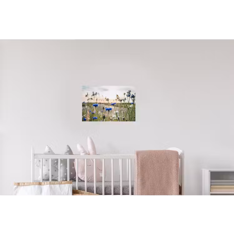 Bloemen - Zomer - Korenbloem - Blauw - Zon - Wolken Muursticker klein -kinderkamer