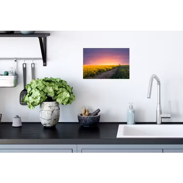 Bloemen - Weg - Lucht - Geel - Paars Muursticker klein -keuken