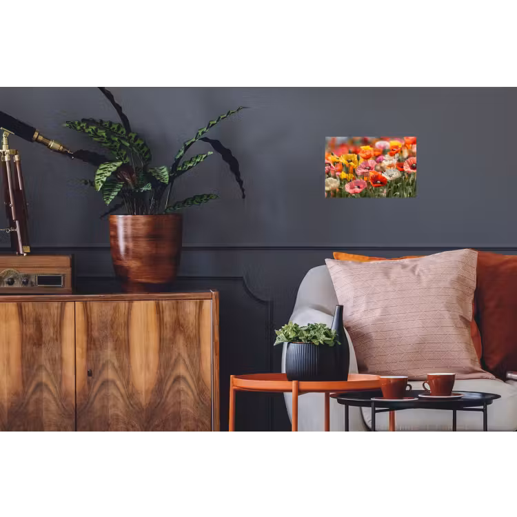 Bloemenveld - Klaprozen - Kleurrijk Muursticker klein -kamerbank