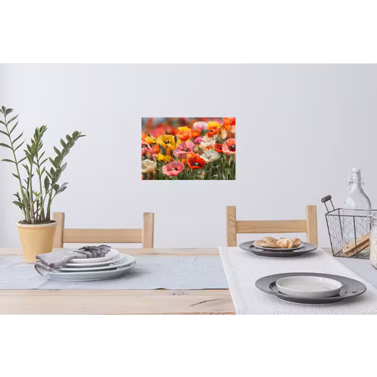 Bloemenveld - Klaprozen - Kleurrijk Muursticker klein -eettafel