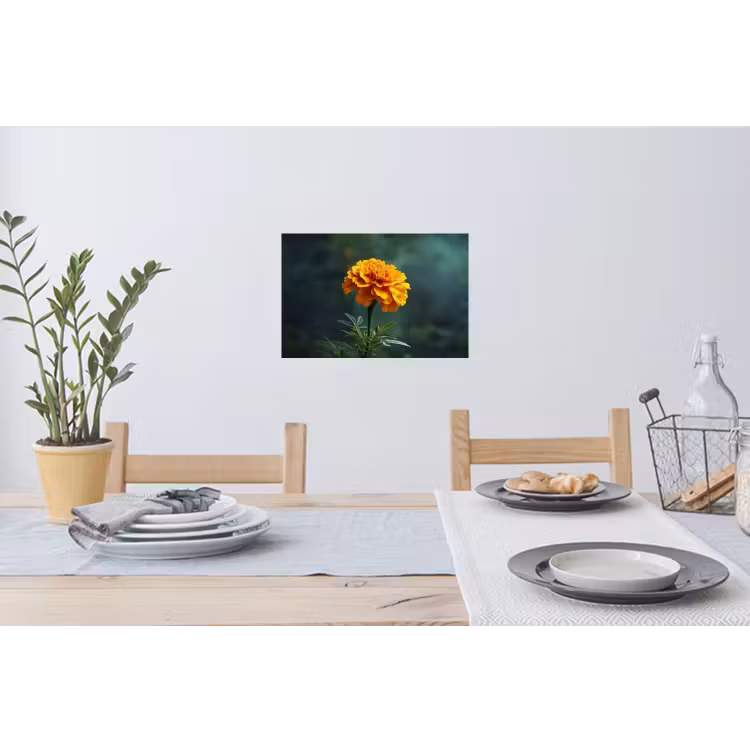 Bloemblaadjes - Afrikaan - Oranje - Wazig Muursticker klein -eettafel