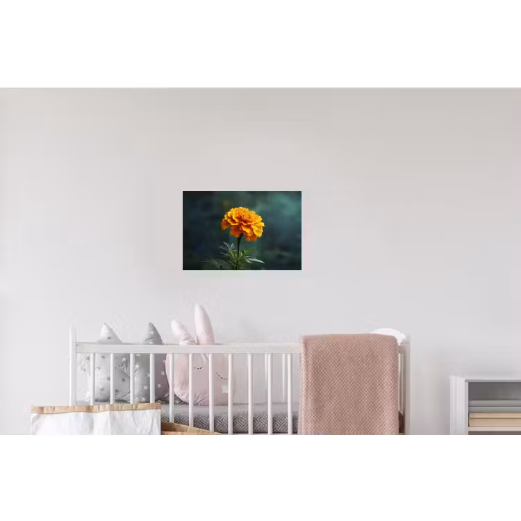 Bloemblaadjes - Afrikaan - Oranje - Wazig Muursticker klein -kinderkamer