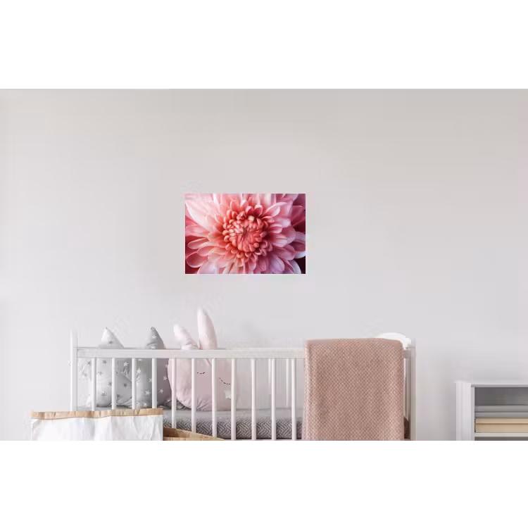 Dahlia - Bloem - Close up - Roze Muursticker klein -kinderkamer