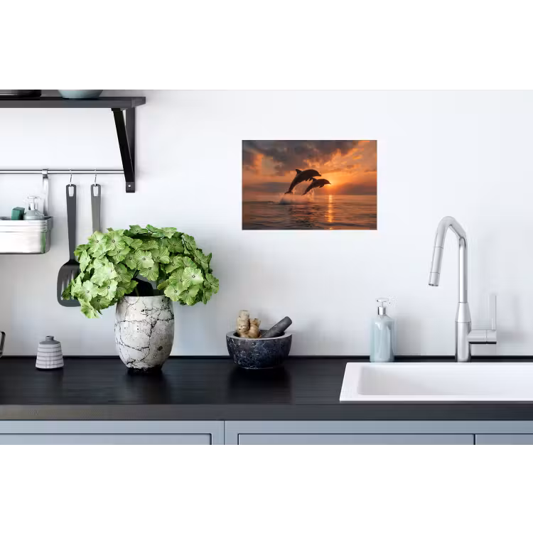 Dolfijnen - Zee - Realistisch Muursticker klein -keuken