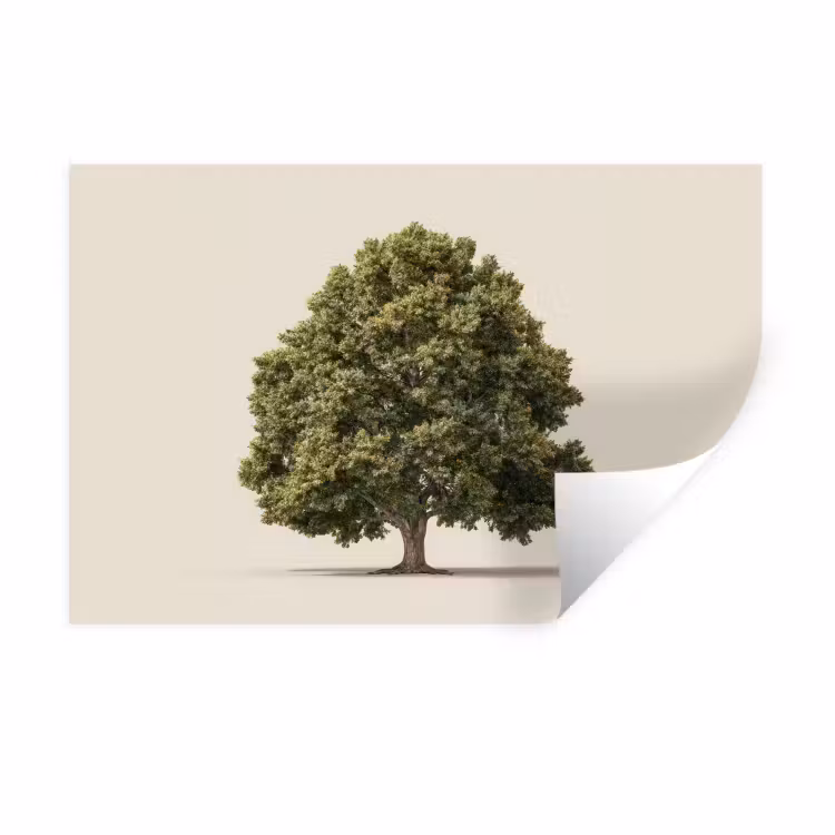 Eikenboom - Groen - Lichte achtergrond Muursticker klein -3d