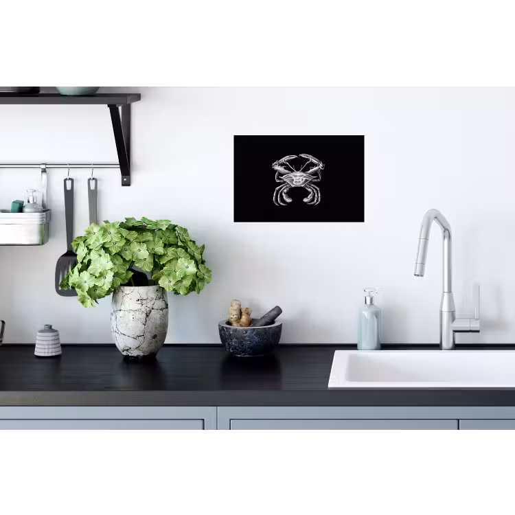 Ernst Haeckel - Tuinposter zwart wit - Tuin - Oude meesters - Vintage Muursticker klein -keuken