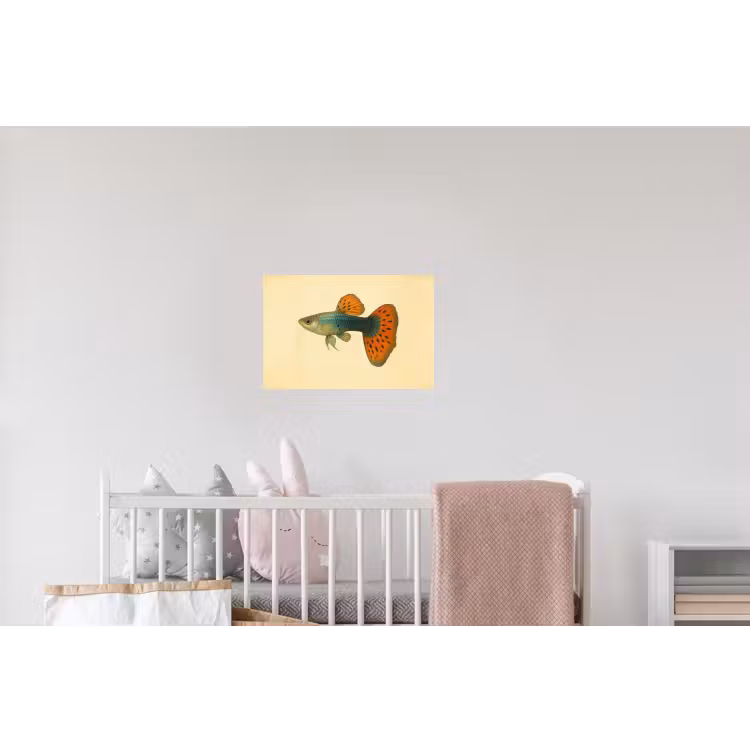 Vis - illustratie - Stippen - Oranje Muursticker klein -kinderkamer