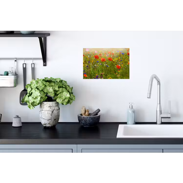 Lente - Bloemen - Rood - Klaproos - Gras - Groen Muursticker klein -keuken