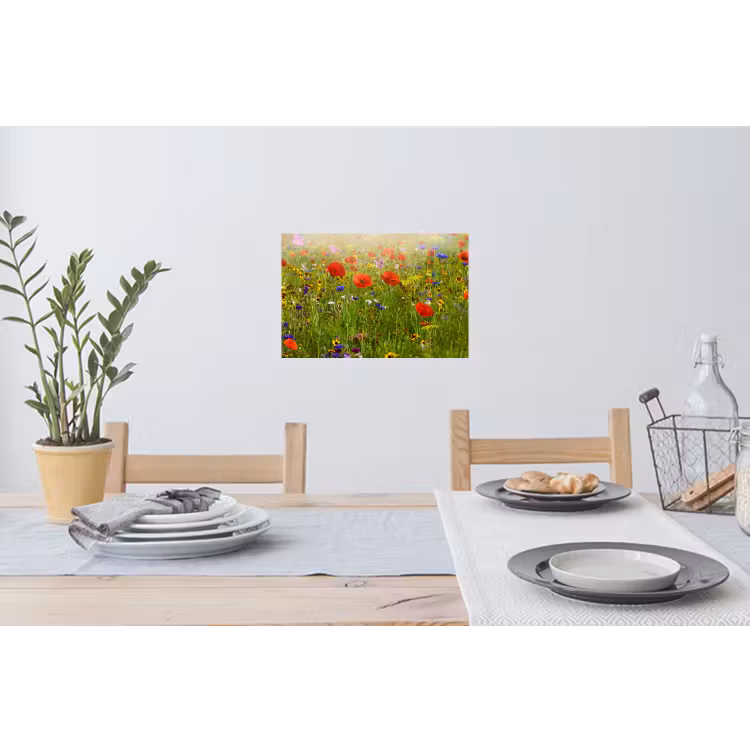 Lente - Bloemen - Rood - Klaproos - Gras - Groen Muursticker klein -eettafel
