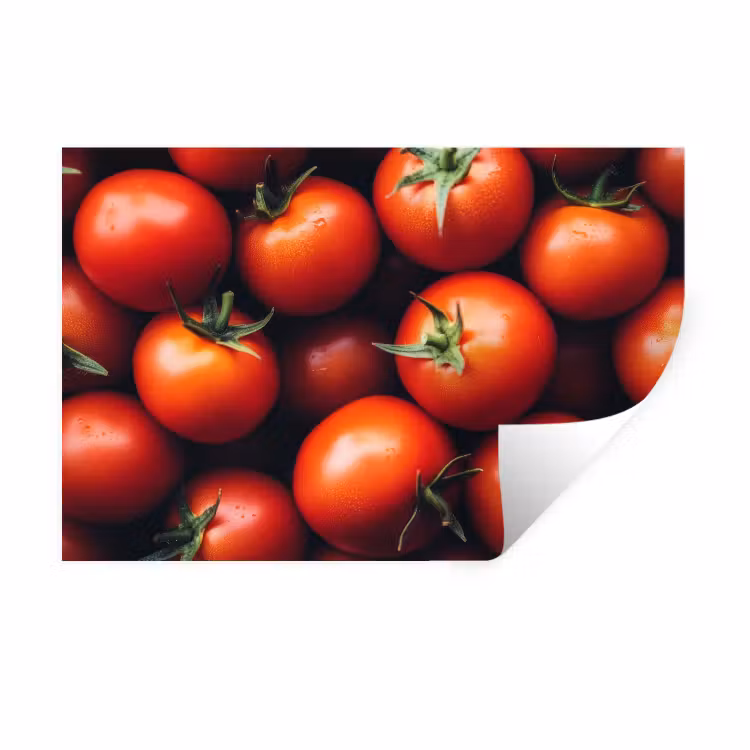 Groente - Rood - Tomaten Muursticker klein -3d