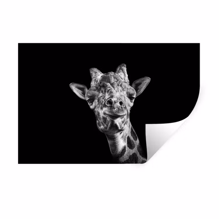 Giraffe - Dier - Zwart - Wit Muursticker klein -3d