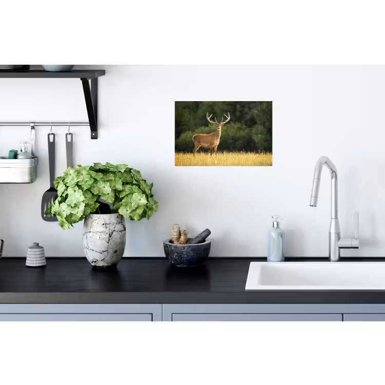 Hert - Gewei - Gras - Natuur - Dieren - Groen Muursticker klein -keuken