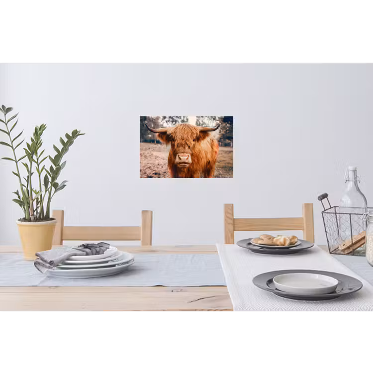 Koe- Schotse hooglander - Hoorns - Bruin - Landschap Muursticker klein -eettafel