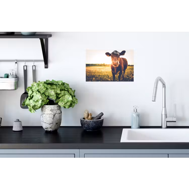 Koe - Zonsondergang - Bloemen - Gras - Dieren Muursticker klein -keuken