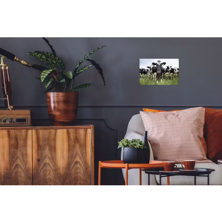 Koeien - Gras - Lente - Dieren - Weiland - Boerderij Muursticker klein -kamerbank