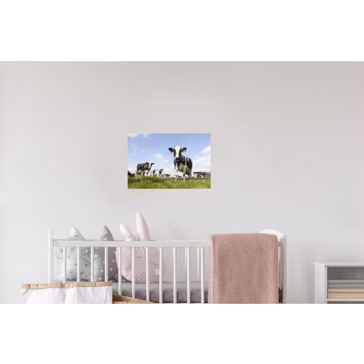 Koeien - Gras - Dieren - Zon - Boerderij Muursticker klein -kinderkamer