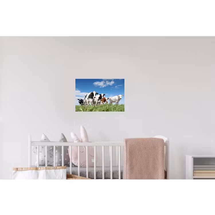 Koeien - Platteland - Weiland - Natuur - Dieren Muursticker klein -kinderkamer