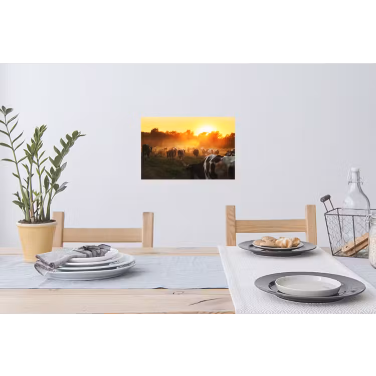 Koeien - Zonsondergang - Weiland - Dieren Muursticker klein -eettafel