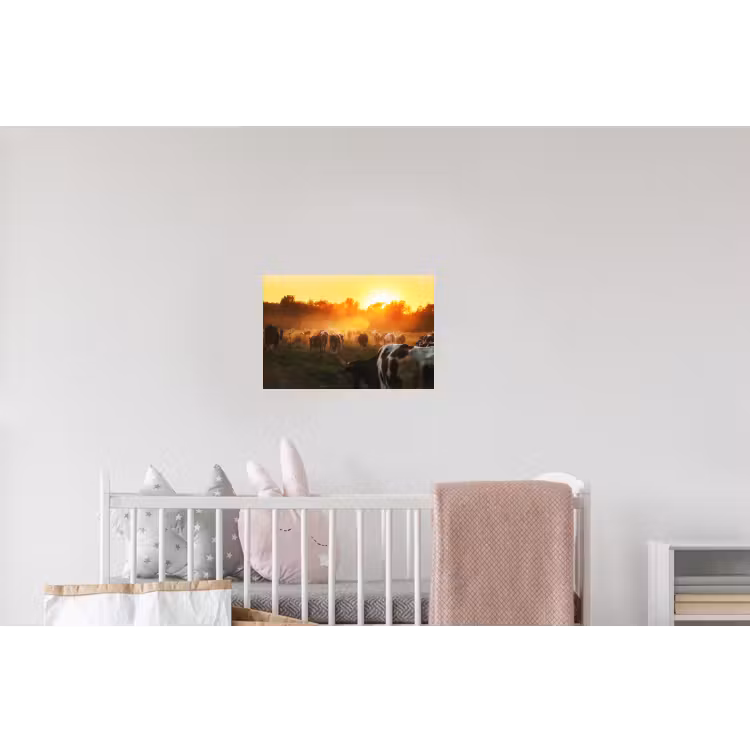 Koeien - Zonsondergang - Weiland - Dieren Muursticker klein -kinderkamer