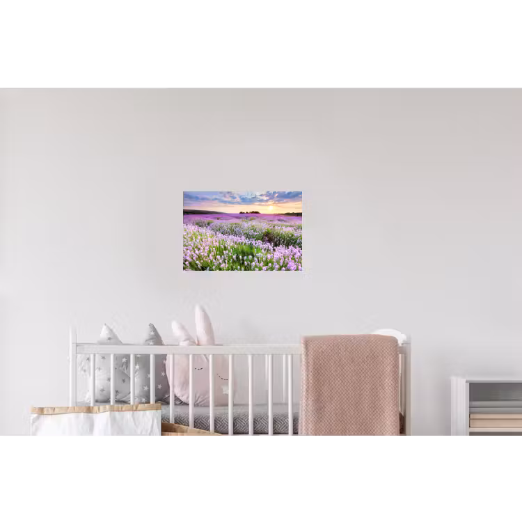 Lavendel - Bloemen - Zonsondergang - Paars - Weide Muursticker klein -kinderkamer