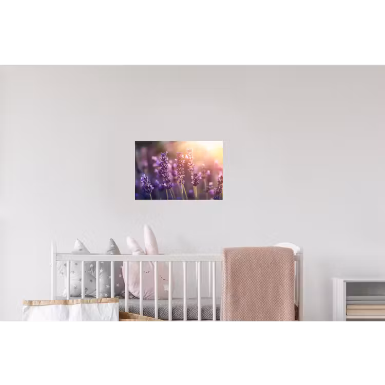 Lavendelbloemen - Paars - Zonlicht Muursticker klein -kinderkamer
