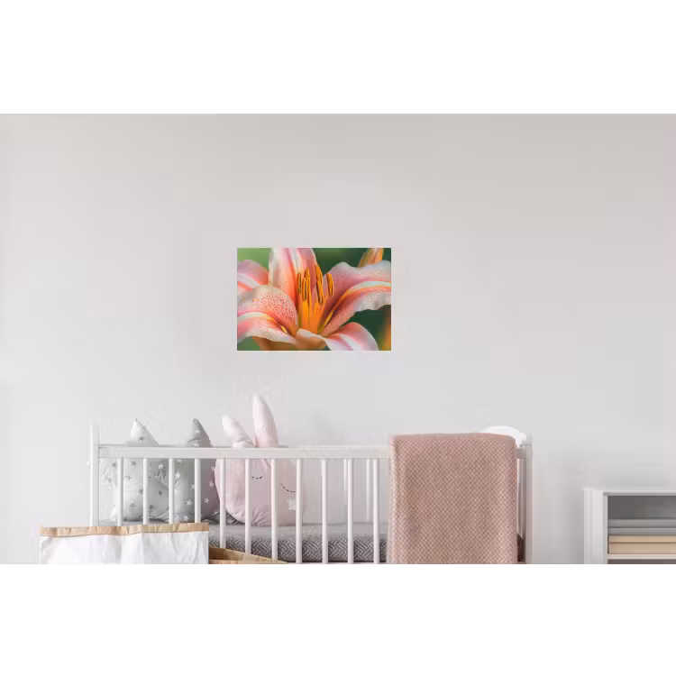 Lelie - Close up - Lichtroze Muursticker klein -kinderkamer