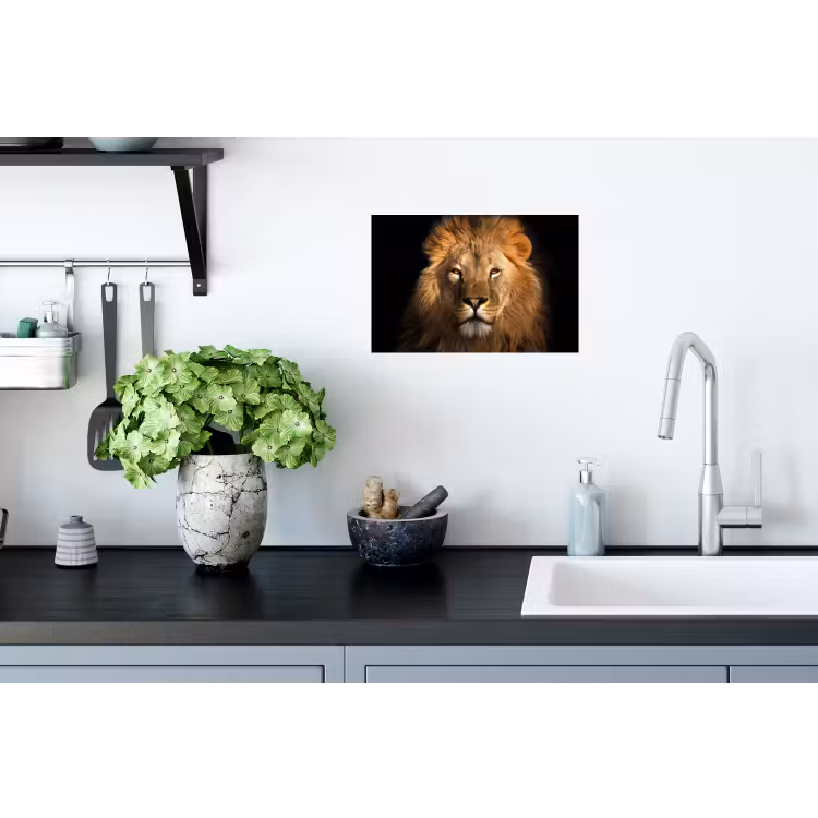 Leeuw - Dieren - Zwart - Licht - Bruin - Portret Muursticker klein -keuken