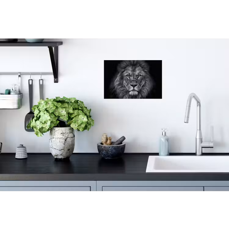 Leeuw - Dieren - Zwart - Wit Muursticker klein -keuken