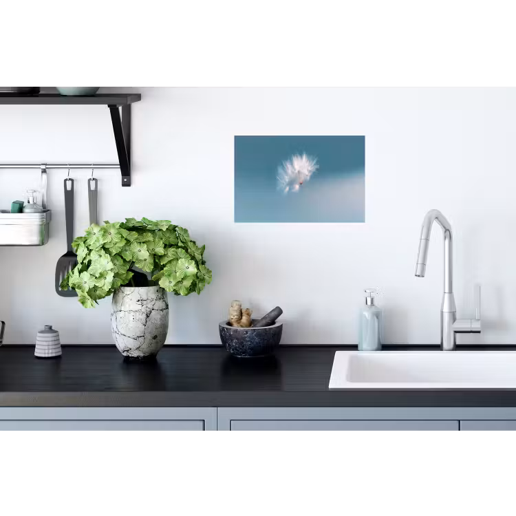 Paardenbloempluisje - Blauw - Lucht Muursticker klein -keuken