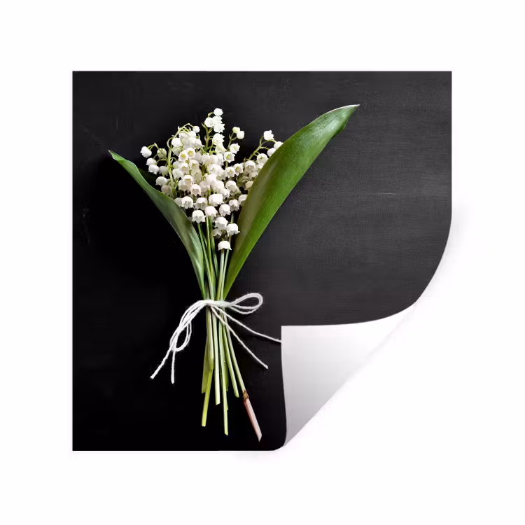 Lelietjes van dalen - Bloemen - Stilleven - Flora Muursticker klein -3d