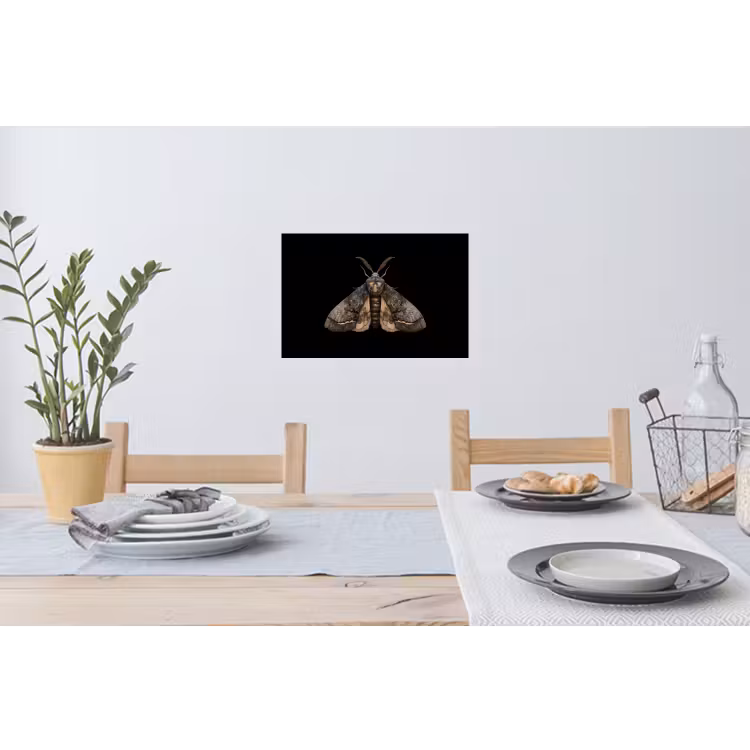 Mot - Bladachtig - Grijs Muursticker klein -eettafel