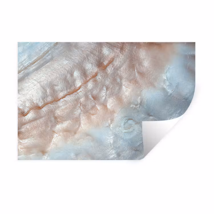 Binnenkant van een schelp uit de natuur bedekt met parelmoer Muursticker klein -3d