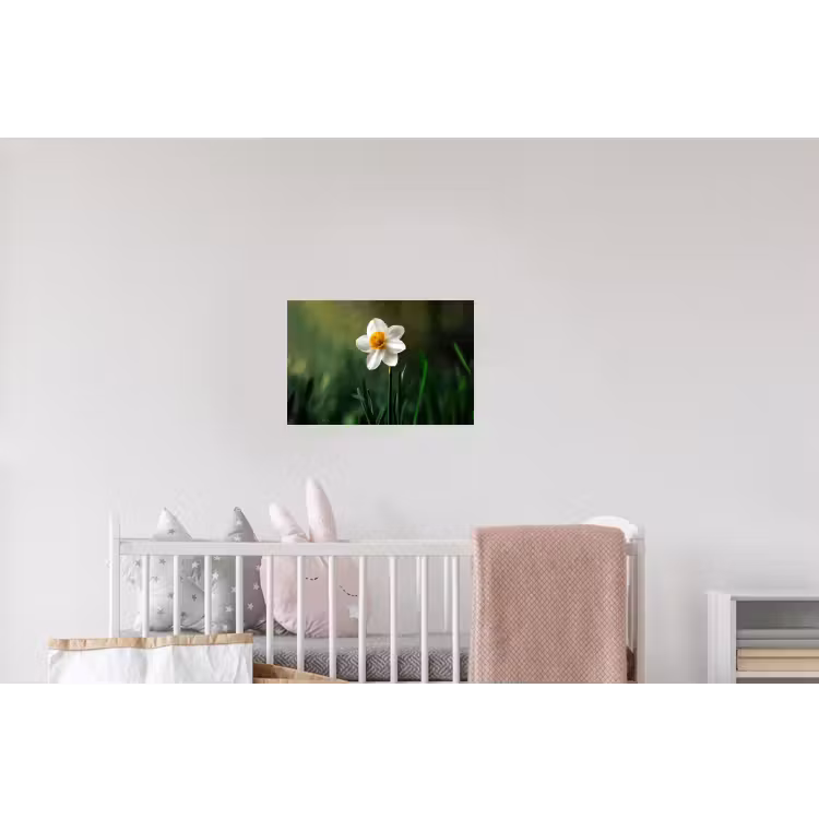 Narcis - Bloem - Wit - Grassprieten Muursticker klein -kinderkamer